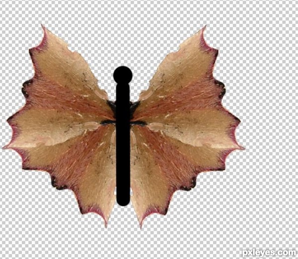 Creation of Butterfly: Step 6